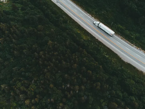Camión de carga por una carretera entre el bosque, visto desde arriba
